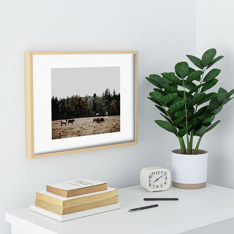 Thumbnail 22